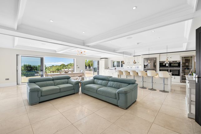 Langland Grove, Swansea photo 4
