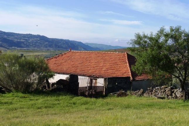 Thumbnail Land for sale in P260, 3 Hectares Farm With Small House In Ruins Bragança, Portugal