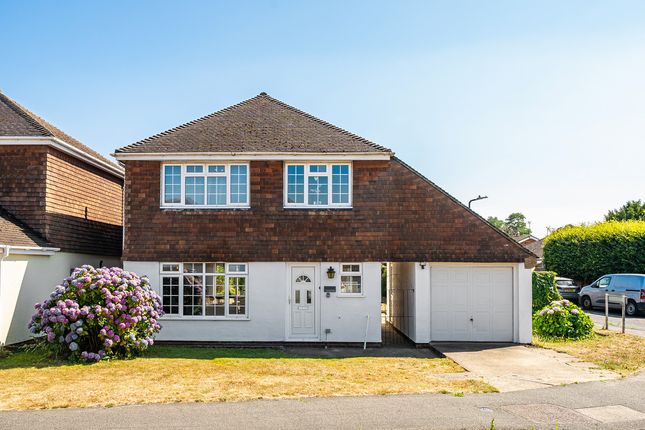 50, Norrington Road, Loose photo 4