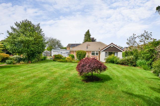 17, Austhorpe Grove, Oakham photo 4