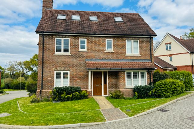 Thumbnail Detached house for sale in Neville Close, Hartley Wintney, Hook
