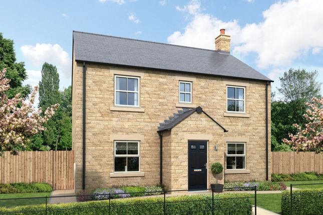 Thumbnail Detached house for sale in River Meadow, Hexham, Northumberland
