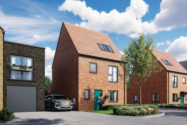 Type Dunham (Flora) - Plot 530_V2