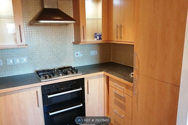 Russet Drive, Red Lodge, Bury St. Edmunds photo 3