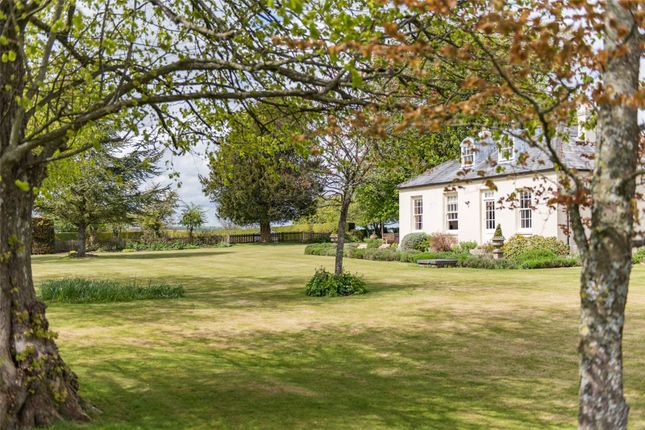 Thumbnail Detached house to rent in Compton, Chichester