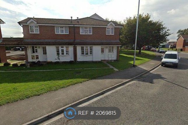 Thumbnail End terrace house to rent in Grebe Court, Bridgwater