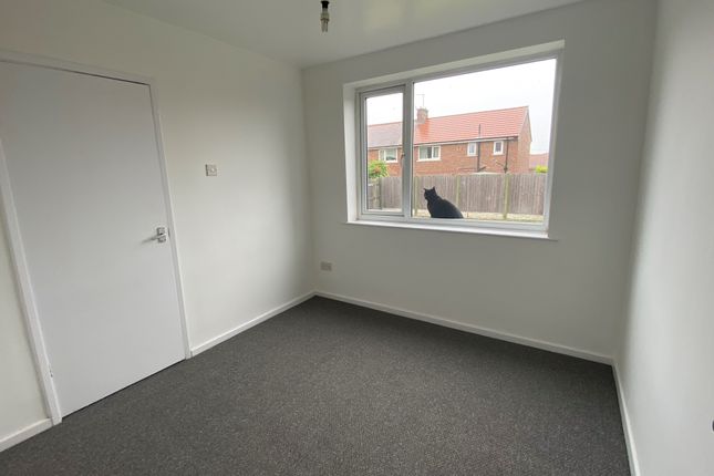 29, Rotherham photo 4