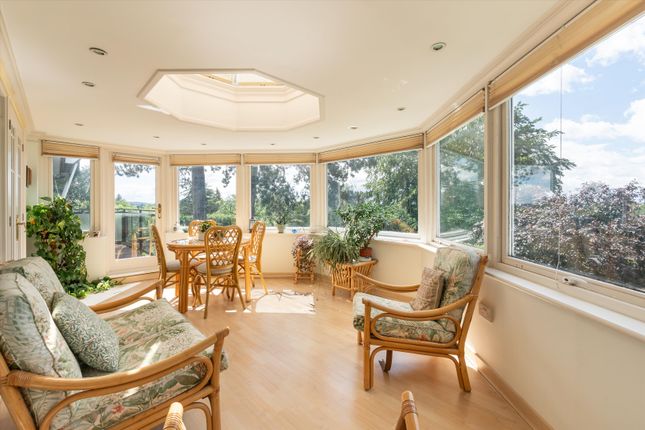 25, Guildown Avenue, Guildford photo 4