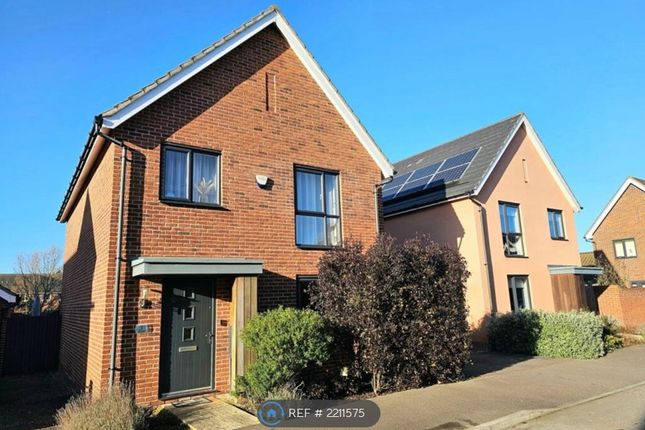 Thumbnail Detached house to rent in Otter Road, Cambridge