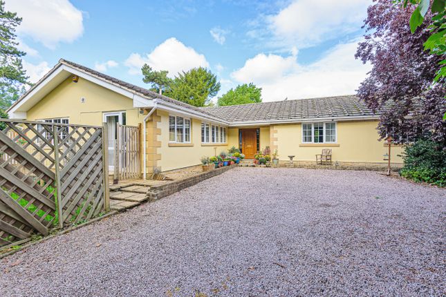 Thumbnail Bungalow for sale in Old Lincoln Road, Caythorpe