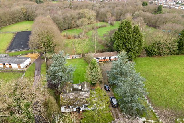 Thumbnail Bungalow for sale in Holyoak Lane, Hockley, Essex