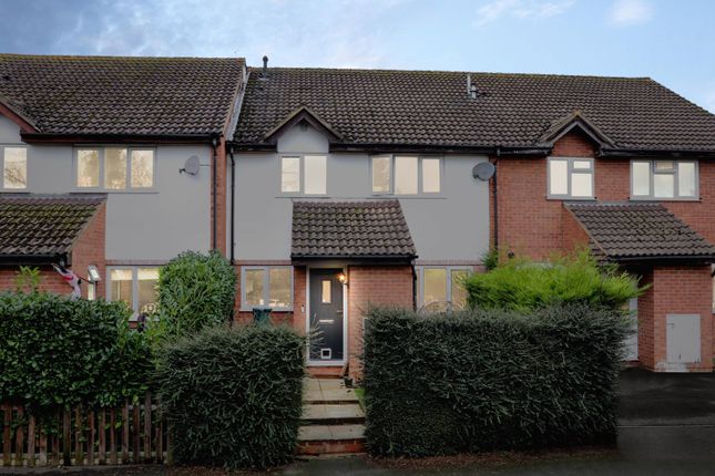 Thumbnail Terraced house to rent in Stonecrop Road, Guildford