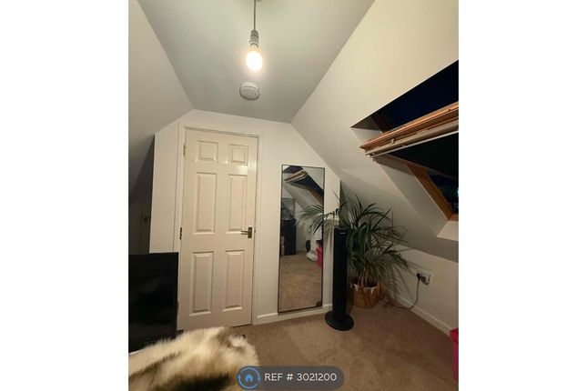 C, Salterton Rd, Exmouth photo 5