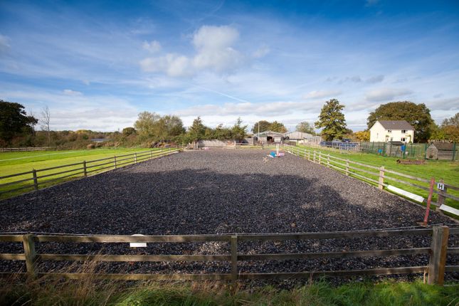 Temple Lane Stables,, Temple Lane, Somerset photo 3