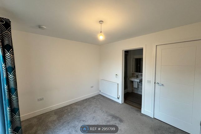 Flat, Umbrella Pine Terrace, Edinburgh photo 4