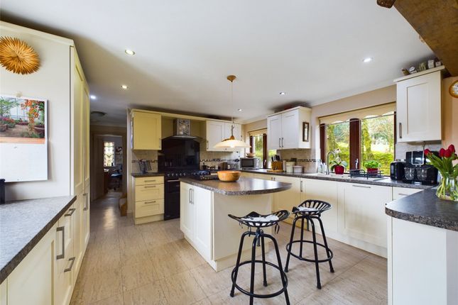 Thumbnail Detached house for sale in Thornbury, Holsworthy