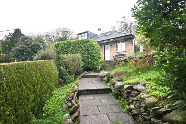 Semi-detached bungalow to rent in Branksome Drive, Shipley