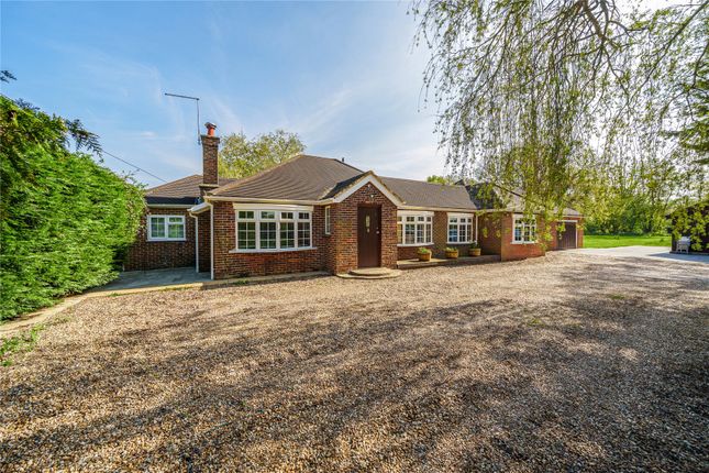 Bungalow for sale in Chobham, Woking, Surrey