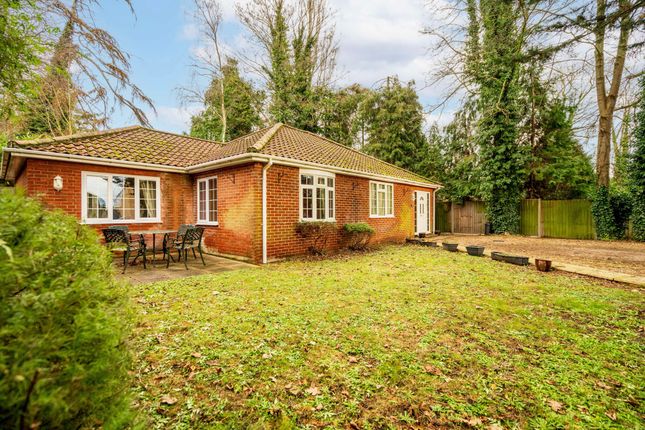 Detached bungalow to rent in Yarmouth Road, Norwich NR7