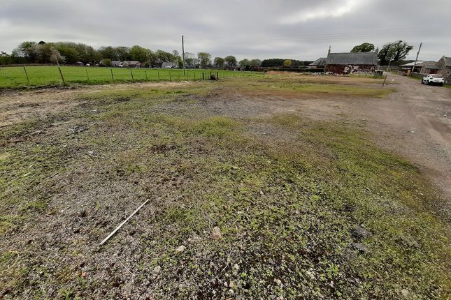 Land for sale in Chapelton Smiddy, Arbroath