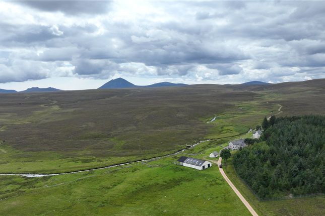 Thumbnail Land for sale in The Glutt Estate, Altnabreac, Halkirk, Caithness