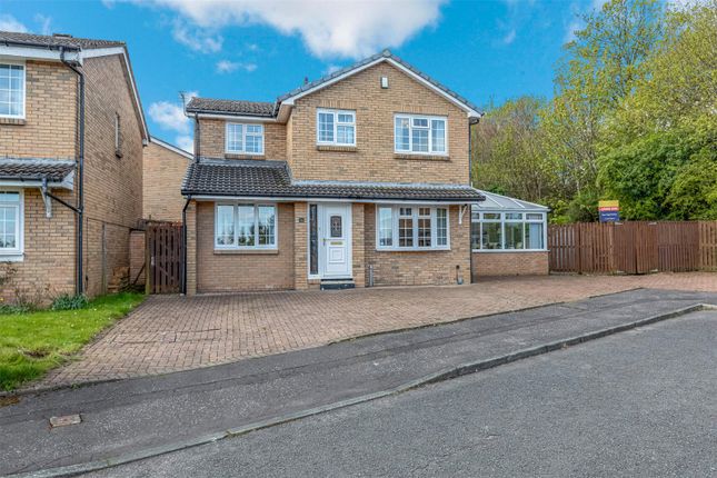 Thumbnail Detached house for sale in Stirling Drive, Hamilton, South Lanarkshire