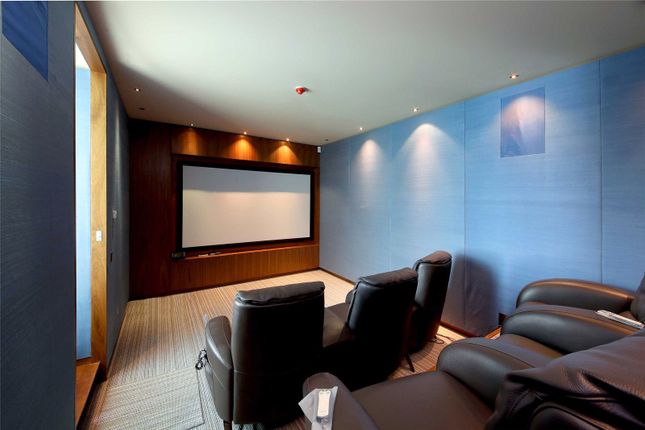 Cinema