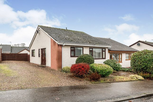 Thumbnail Bungalow to rent in Milnefield Avenue, Elgin, Morayshire