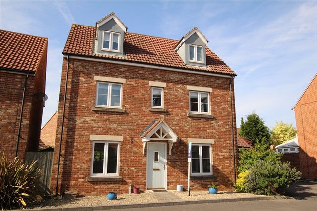 Thumbnail Detached house to rent in Teal Way, Portishead, Bristol