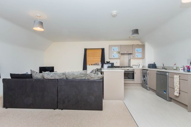 Open Plan Living Room/Kitchen
