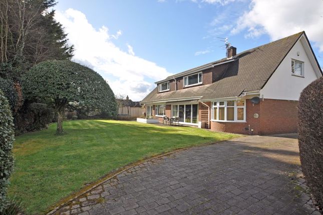 Thumbnail Detached house for sale in Orchard End, Melbourne Way, Newport