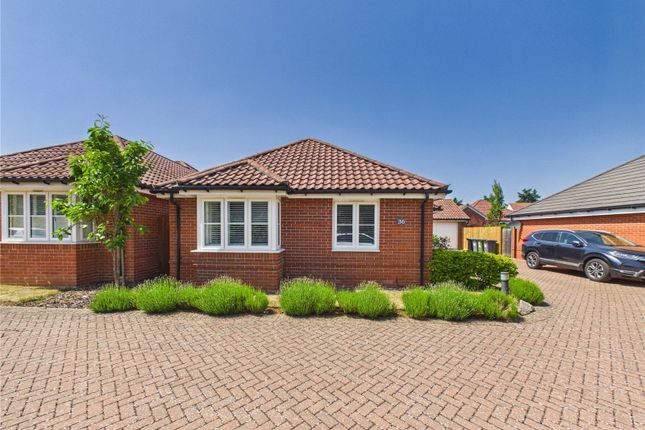 3-bed house on 36, Beadon Way, Woodbridge, £475,000