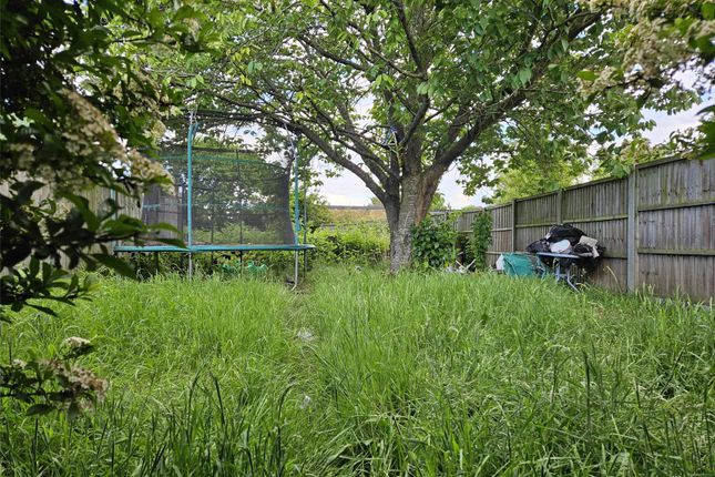 Garden (2)