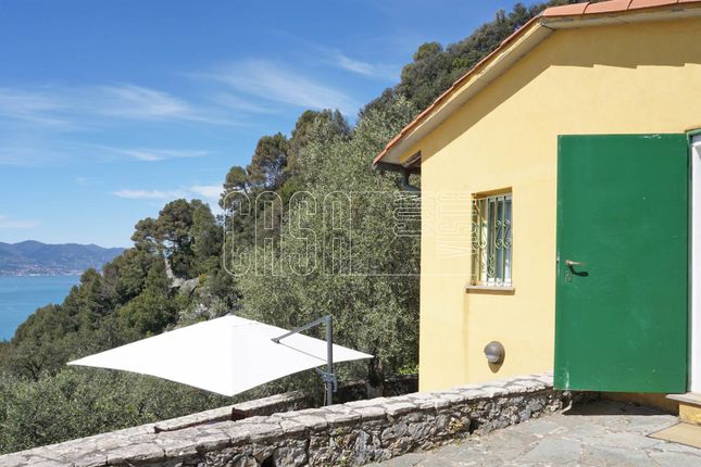 Detached house for sale in Località Zanego, Lerici, La Spezia, Liguria, Italy