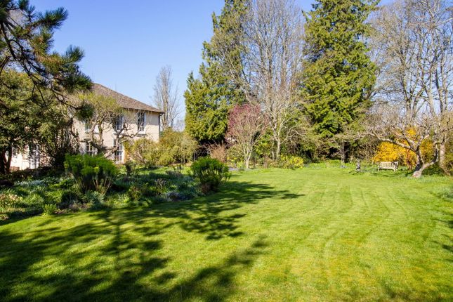 Brandy Mount House, Brandy Mount, Alresford photo 4