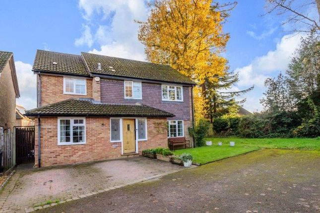 Thumbnail Detached house for sale in Davies Close, Godalming
