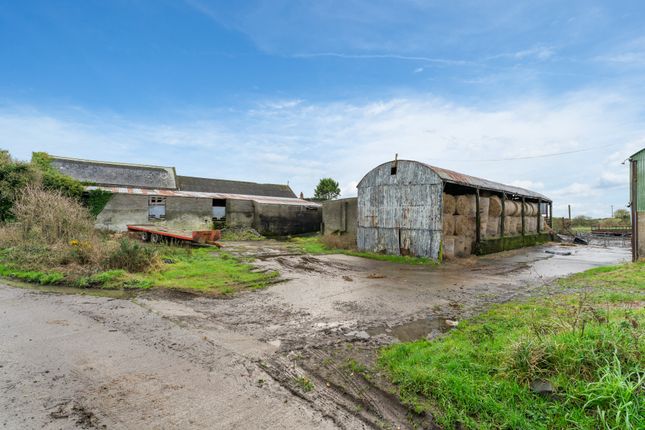 Farm for sale in 67 Portaferry Road, Cloughey, Newtownards, County Down