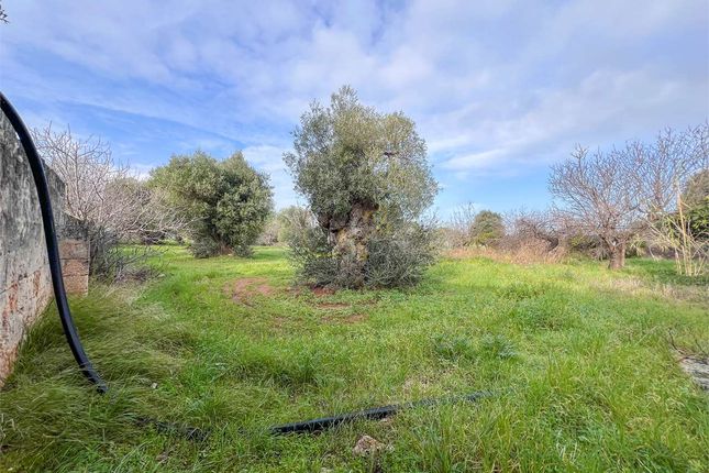 Land for sale in Monopoli, Puglia, 70043, Italy