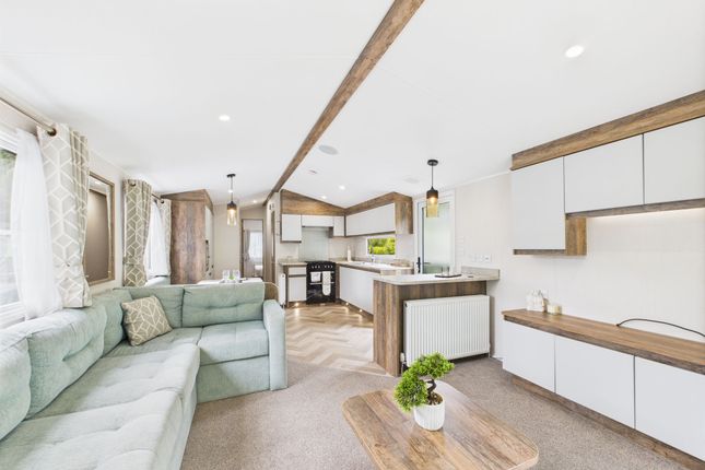 Willerby Brookwood, Drimsynie Holiday Village, Lochgoilhead photo 3