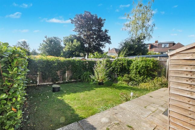 Sunny Rear Garden.Jpg