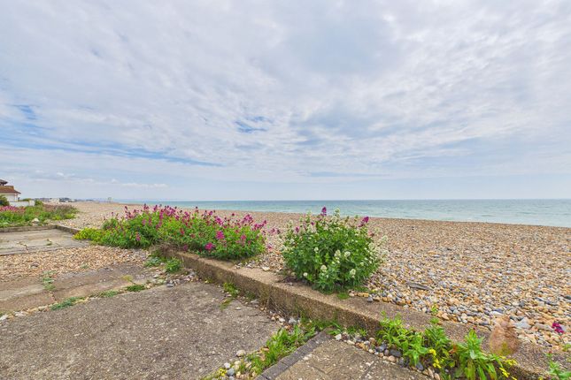Hut 41 West Beach, Lancing photo 4