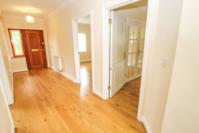 2 Stonerock Close, Canterbury photo 2