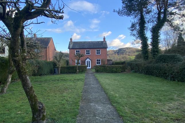 Thumbnail Detached house to rent in Meifod, Powys