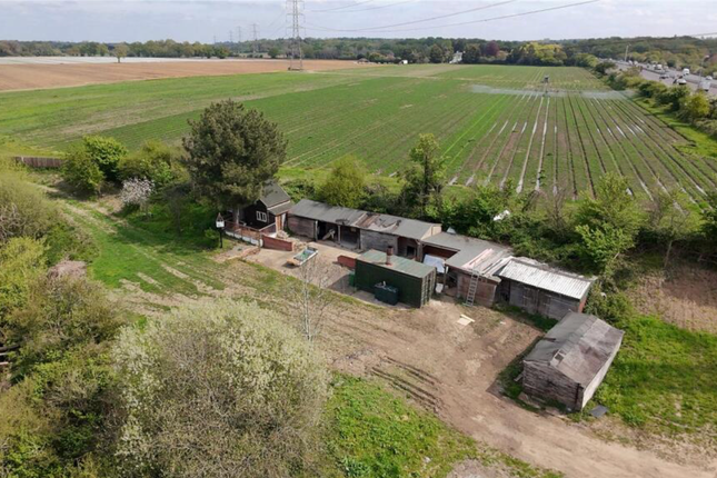 Alba Stables, Bridge Way, Cobham photo 2