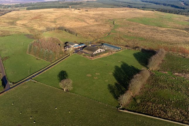 9-the-hollows-canonbie-dumfries-and-galloway-dg14-2-bedroom-semi