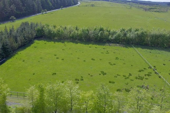 Longford Crofts, West Calder photo 4