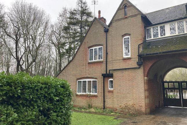 Thumbnail Semi-detached house to rent in Old North Road, Longstowe, Cambridge, Cambridgeshire