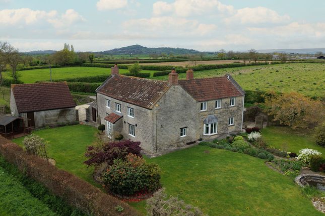 Goosemoor Farm, Burnetts Lane, Glastonbury photo 2