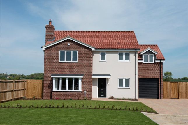 Thumbnail Detached house for sale in Longvista At Field View, Top Road, Rattlesden, Bury St. Edmunds