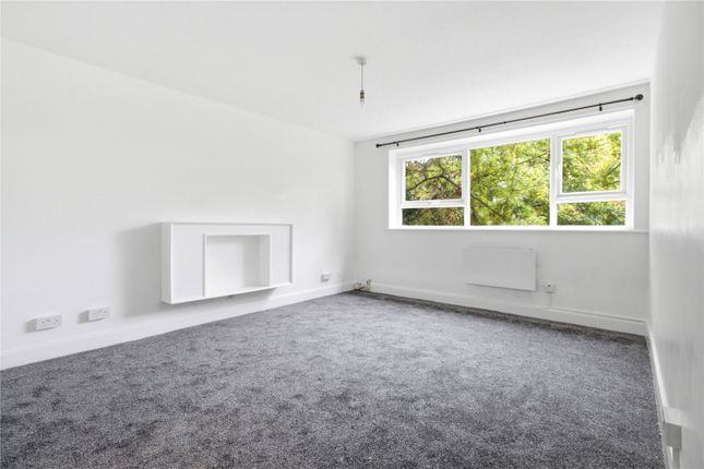 Brownlow Road, London photo 3
